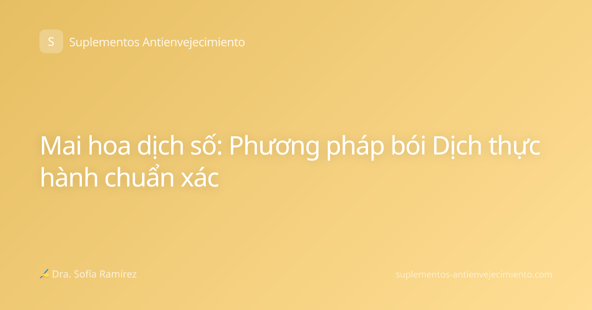 Mai hoa dịch số: Phương pháp bói Dịch thực hành chuẩn xác